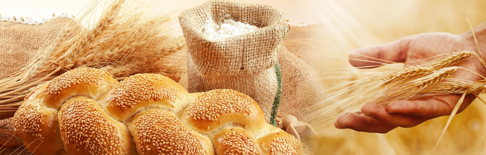 Organic Baba promo